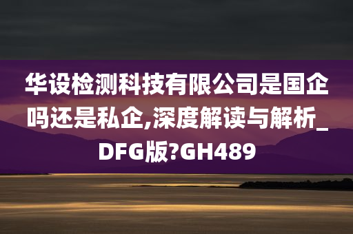 华设检测科技有限公司是国企吗还是私企,深度解读与解析_DFG版?GH489