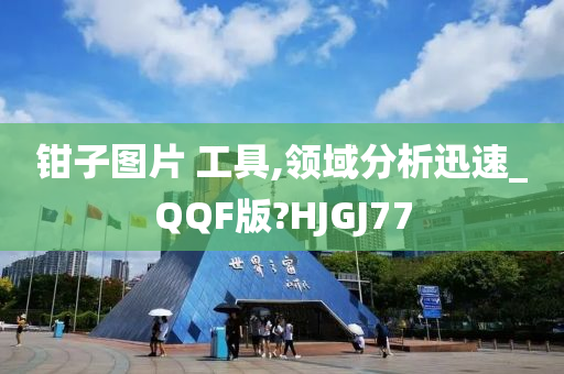 钳子图片 工具,领域分析迅速_QQF版?HJGJ77