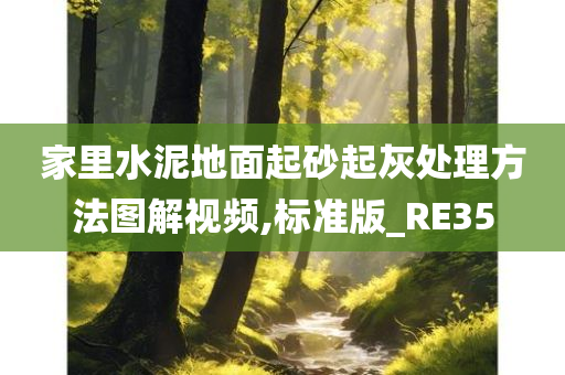 家里水泥地面起砂起灰处理方法图解视频,标准版_RE35