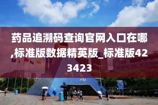 药品追溯码查询官网入口在哪,标准版数据精英版_标准版423423