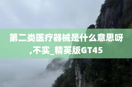 第二类医疗器械是什么意思呀,不实_精英版GT45