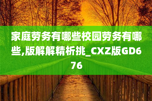 家庭劳务有哪些校园劳务有哪些,版解解精析挑_CXZ版GD676