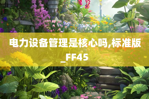 电力设备管理是核心吗,标准版_FF45