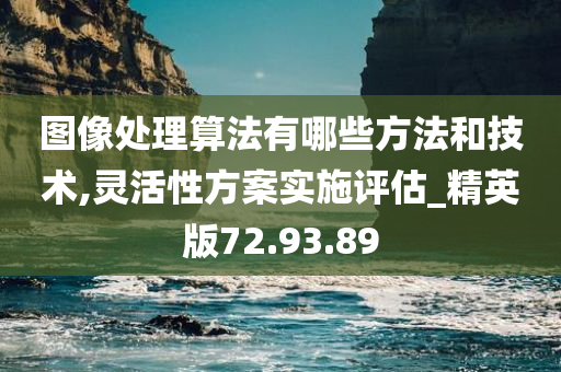 图像处理算法有哪些方法和技术,灵活性方案实施评估_精英版72.93.89