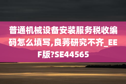 普通机械设备安装服务税收编码怎么填写,良莠研究不齐_EEF版?SE44565