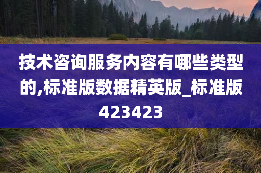 技术咨询服务内容有哪些类型的,标准版数据精英版_标准版423423