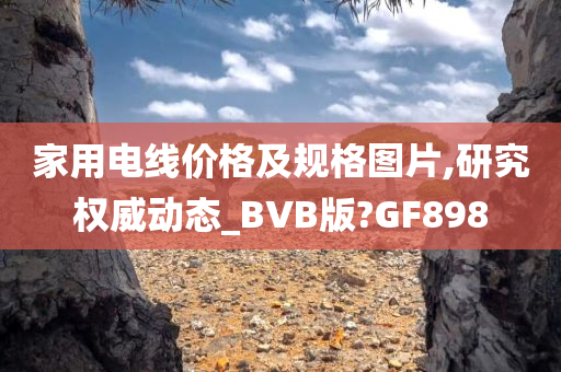 家用电线价格及规格图片,研究权威动态_BVB版?GF898