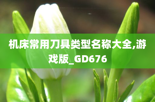 机床常用刀具类型名称大全,游戏版_GD676