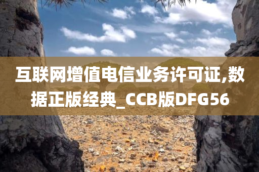 互联网增值电信业务许可证,数据正版经典_CCB版DFG56