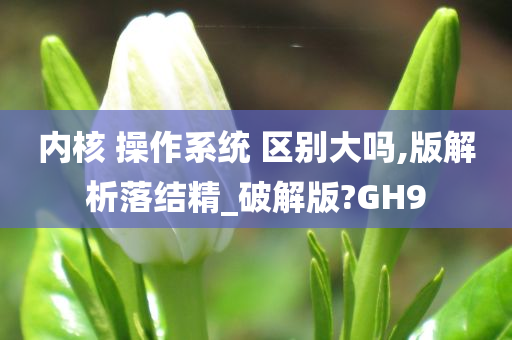 内核 操作系统 区别大吗,版解析落结精_破解版?GH9