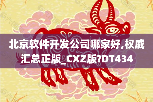 北京软件开发公司哪家好,权威汇总正版_CXZ版?DT434