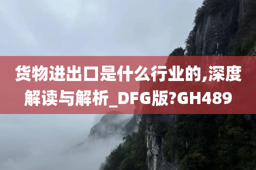 货物进出口是什么行业的,深度解读与解析_DFG版?GH489