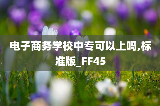 电子商务学校中专可以上吗,标准版_FF45