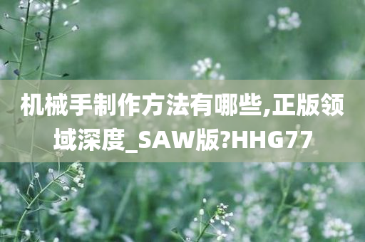 机械手制作方法有哪些,正版领域深度_SAW版?HHG77