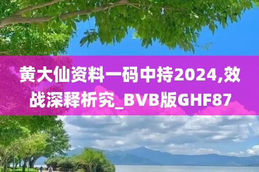 黄大仙资料一码中持2024,效战深释析究_BVB版GHF87