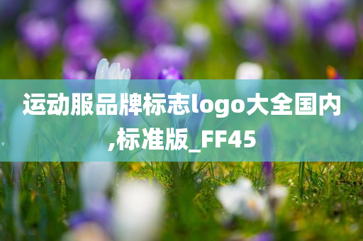 运动服品牌标志logo大全国内,标准版_FF45