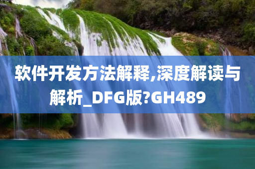 软件开发方法解释,深度解读与解析_DFG版?GH489