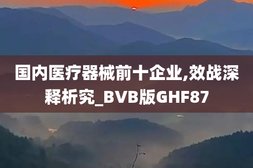 国内医疗器械前十企业,效战深释析究_BVB版GHF87