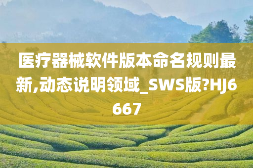 医疗器械软件版本命名规则最新,动态说明领域_SWS版?HJ6667