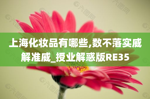 上海化妆品有哪些,数不落实威解准威_授业解惑版RE35