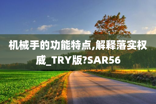 机械手的功能特点,解释落实权威_TRY版?SAR56