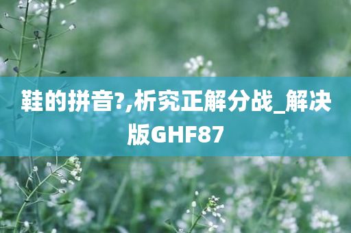 鞋的拼音?,析究正解分战_解决版GHF87