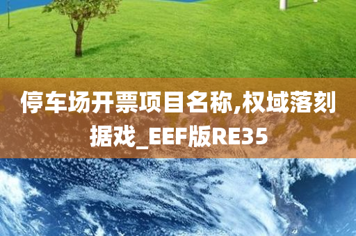 停车场开票项目名称,权域落刻据戏_EEF版RE35