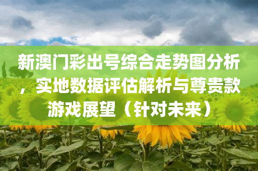 新澳门彩出号综合走势图分析，实地数据评估解析与尊贵款游戏展望（针对未来）