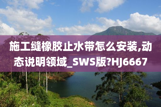 施工缝橡胶止水带怎么安装,动态说明领域_SWS版?HJ6667