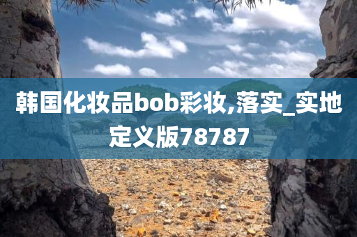 韩国化妆品bob彩妆,落实_实地定义版78787