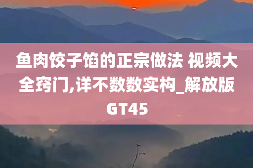 鱼肉饺子馅的正宗做法 视频大全窍门,详不数数实构_解放版GT45