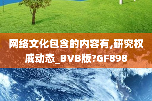 网络文化包含的内容有,研究权威动态_BVB版?GF898