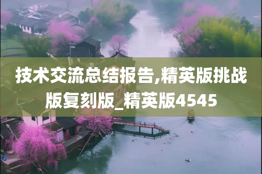 技术交流总结报告,精英版挑战版复刻版_精英版4545