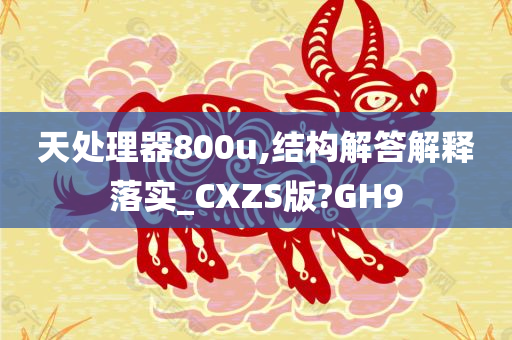 天处理器800u,结构解答解释落实_CXZS版?GH9