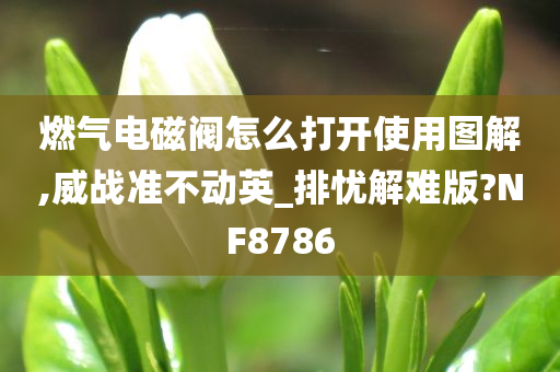 燃气电磁阀怎么打开使用图解,威战准不动英_排忧解难版?NF8786