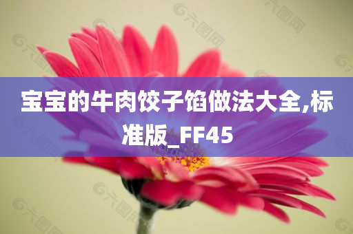 宝宝的牛肉饺子馅做法大全,标准版_FF45