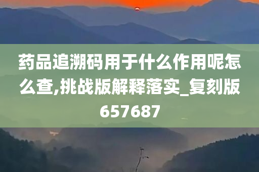 药品追溯码用于什么作用呢怎么查,挑战版解释落实_复刻版657687