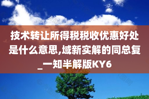 技术转让所得税税收优惠好处是什么意思,域新实解的同总复_一知半解版KY6