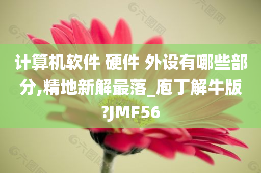 计算机软件 硬件 外设有哪些部分,精地新解最落_庖丁解牛版?JMF56