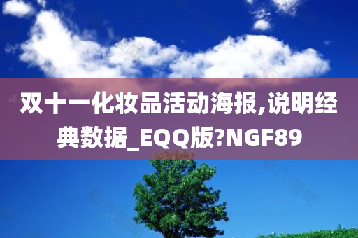 双十一化妆品活动海报,说明经典数据_EQQ版?NGF89