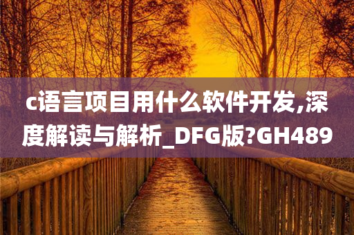 c语言项目用什么软件开发,深度解读与解析_DFG版?GH489