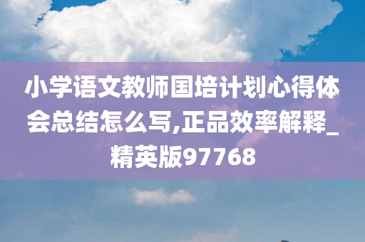 小学语文教师国培计划心得体会总结怎么写,正品效率解释_精英版97768