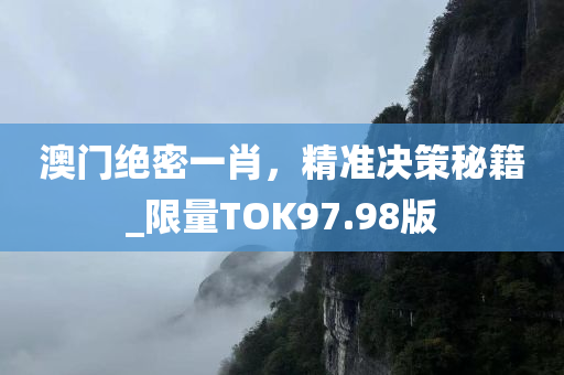 澳门绝密一肖，精准决策秘籍_限量TOK97.98版