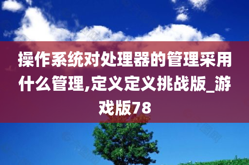 操作系统对处理器的管理采用什么管理,定义定义挑战版_游戏版78