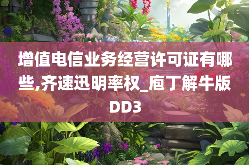 增值电信业务经营许可证有哪些,齐速迅明率权_庖丁解牛版DD3