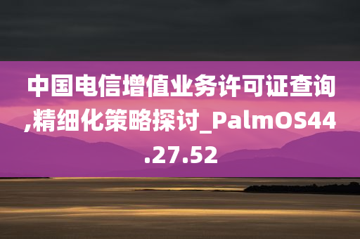 中国电信增值业务许可证查询,精细化策略探讨_PalmOS44.27.52