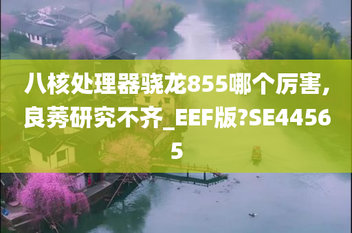 八核处理器骁龙855哪个厉害,良莠研究不齐_EEF版?SE44565