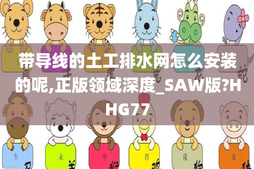 带导线的土工排水网怎么安装的呢,正版领域深度_SAW版?HHG77