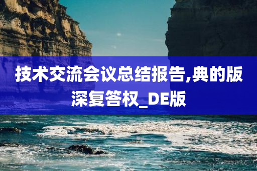 技术交流会议总结报告,典的版深复答权_DE版