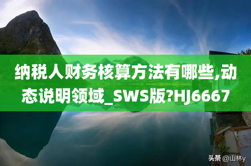 纳税人财务核算方法有哪些,动态说明领域_SWS版?HJ6667